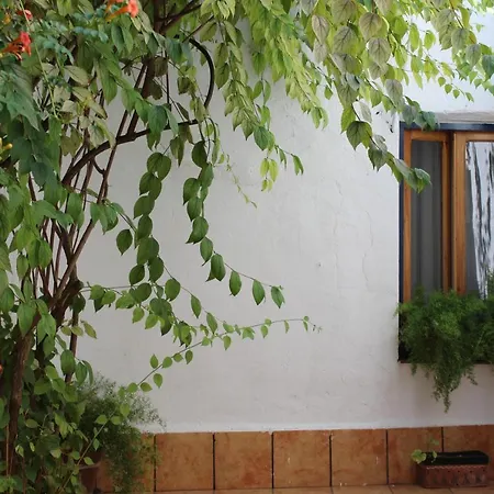 Сasa de vacaciones Casa Alcaida Quesada